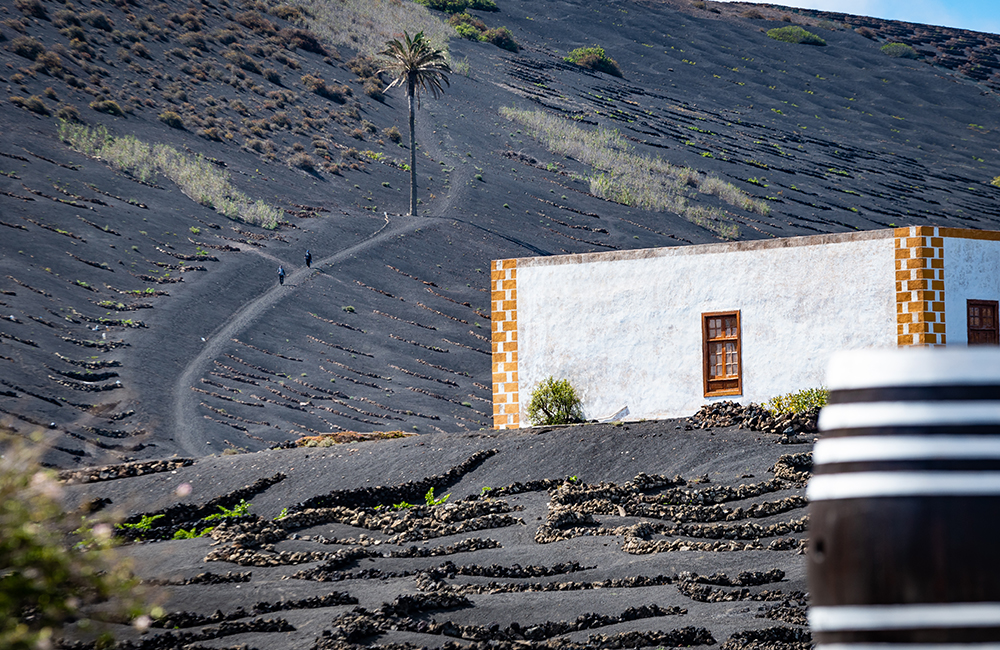 Arquitectura canaria en la Geria