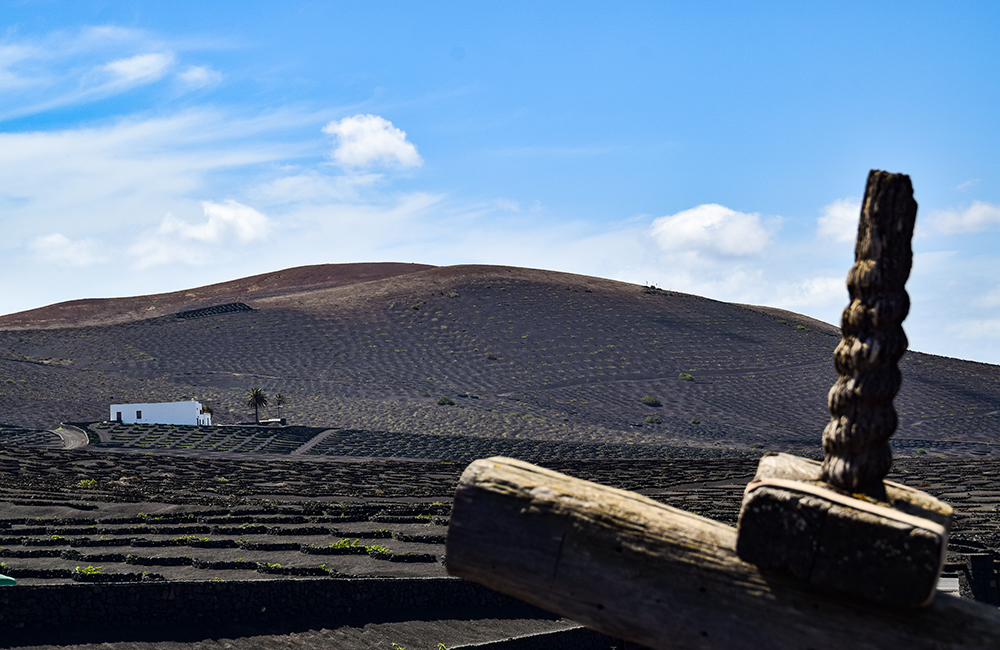 Arte y cultura de la vendimia en Lanzarote