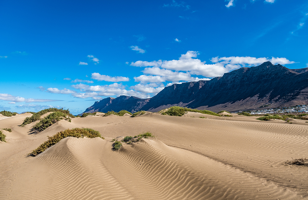 Famara dunes