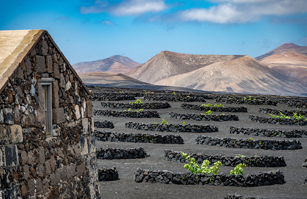 Architecture, wine and volcanoes