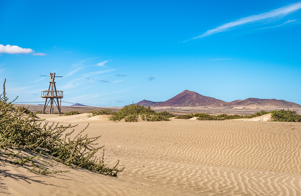 Molino de Famara entre dunas